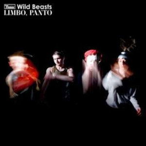 Cover for Wild Beasts · Limbo Panto (LP) (2008)