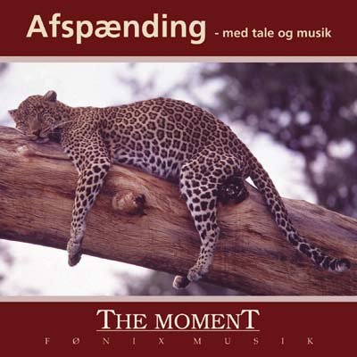 Cover for Moment the · Afspænding (CD) (2000)