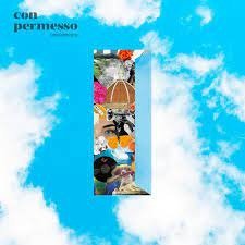 Cover for Cecco E Cipo · Con Permesso (CD) (2023)
