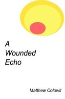 Matthew Colowit · A Wounded Echo (Paperback Bog) (2005)