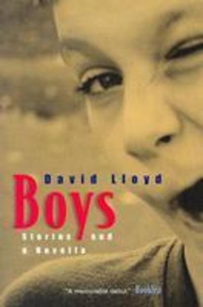 Boys: Stories and a Novella - David Lloyd - Books - Syracuse University Press - 9780815608417 - August 31, 2005