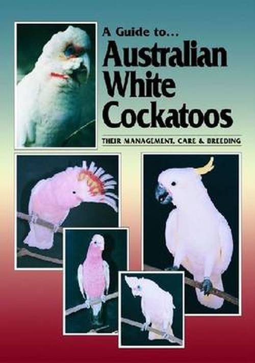 Australian White Cockatoos - A Guide to - Chris Hunt - Livros - BirdKeeper Pty. Limited - 9780957702417 - 1 de dezembro de 1999