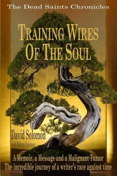 Cover for Delynn Solomon · TRAINING WIRES OF THE SOUL The Dead Saints Chronicles (Pocketbok) (2020)