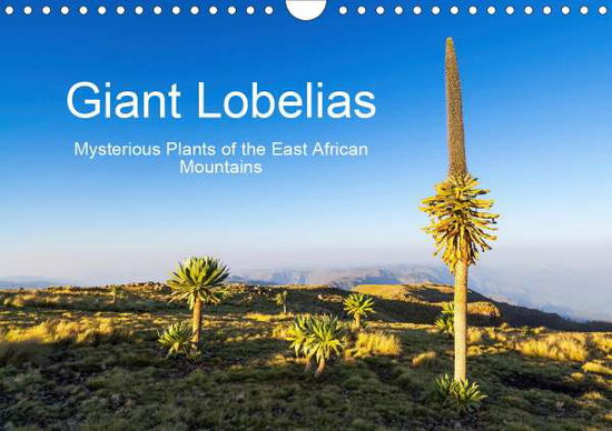 Giant Lobelias - Mysterious Plant - Zwick - Książki -  - 9781325601417 - 