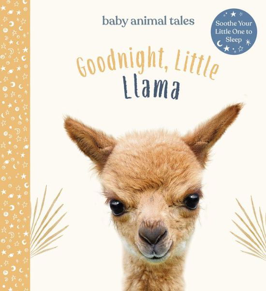 Cover for Amanda Wood · Goodnight Little Llama (Book) (2021)