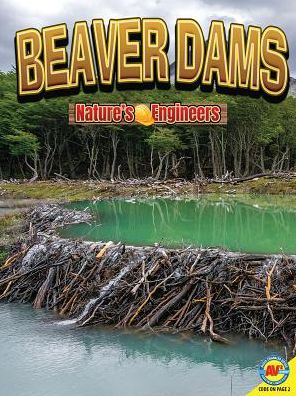 Cover for Nancy Furstinger · Beaver Dams (Hardcover Book) (2019)