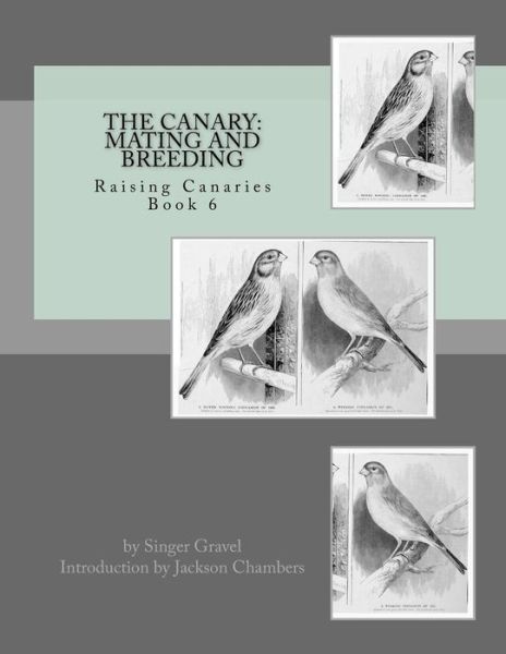 Cover for Singer Gravel · The Canary : Mating and Breeding (Paperback Book) (2016)