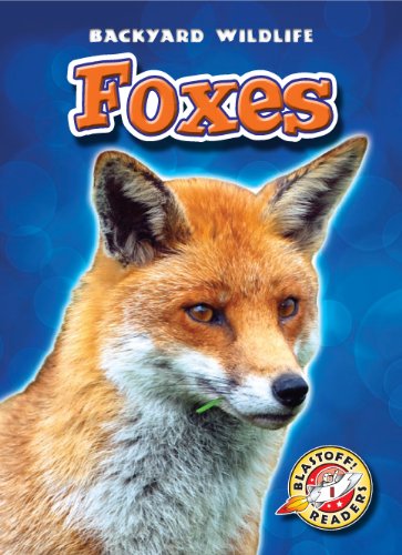 Foxes (Blastoff! Readers: Backyard Wildlife) (Blastoff Readers. Level 1) - Emily Green - Books - Bellwether Media - 9781600144417 - August 1, 2010