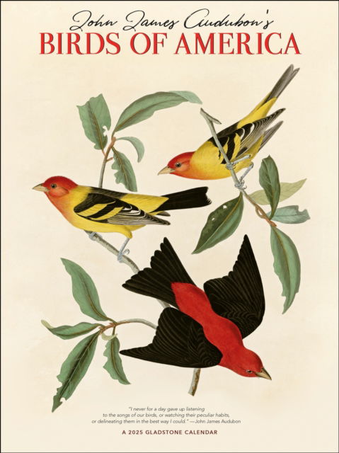 Cover for Gladstone Media · Audubon's Birds of America Dlx W (Paperback Book) (2024)