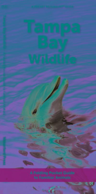 Cover for Waterford Press · Tampa Bay Wildlife: A Folding Pocket Guide to Familiar Animals - Pocket Naturalist Guide (Pamphlet) [2nd edition] (2023)