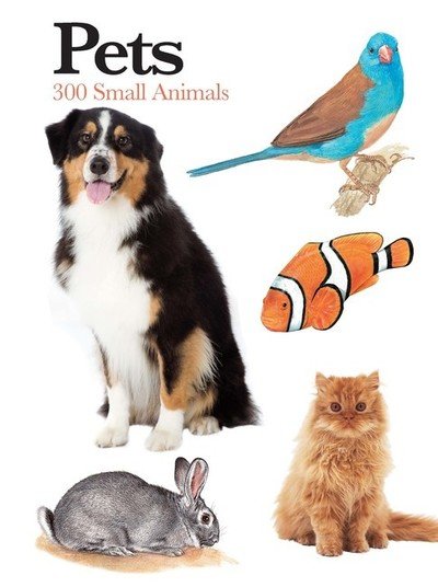 Cover for Claudia Martin · Pets: 300 Small Animals - Mini Encyclopedia (Paperback Bog) (2019)