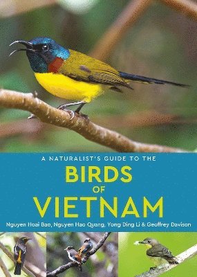 Cover for Nguyen Hoai Bao · A Naturalist's Guide to the Birds of Vietnam - Naturalist's Guide (Paperback Book) (2025)