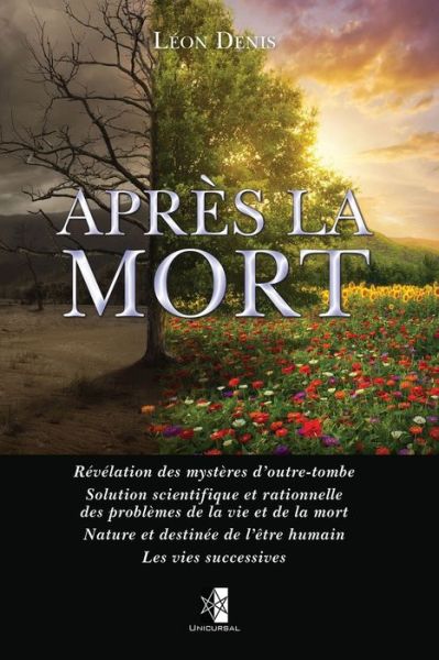 Cover for Leon Denis · Apres la Mort (Paperback Book) (2020)