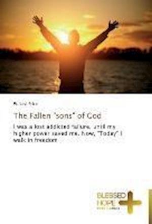 Cover for Price · The Fallen &quot;sons&quot; of God (Book) (2013)
