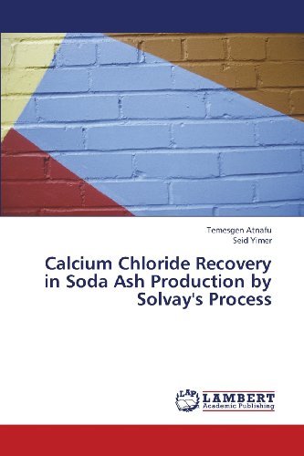 Cover for Seid Yimer · Calcium Chloride Recovery in Soda Ash Production by Solvay's Process (Pocketbok) (2013)
