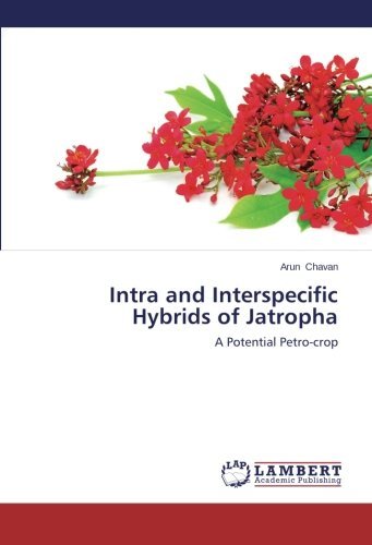 Cover for Arun Chavan · Intra and Interspecific Hybrids of Jatropha: a Potential Petro-crop (Paperback Bog) (2014)