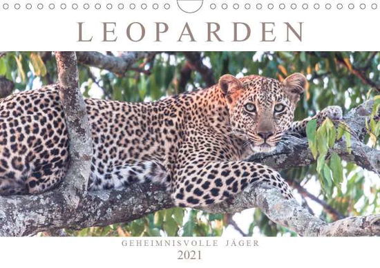 Leoparden - Geheimnisvolle Jäg - Lippmann - Books -  - 9783672055417 - 