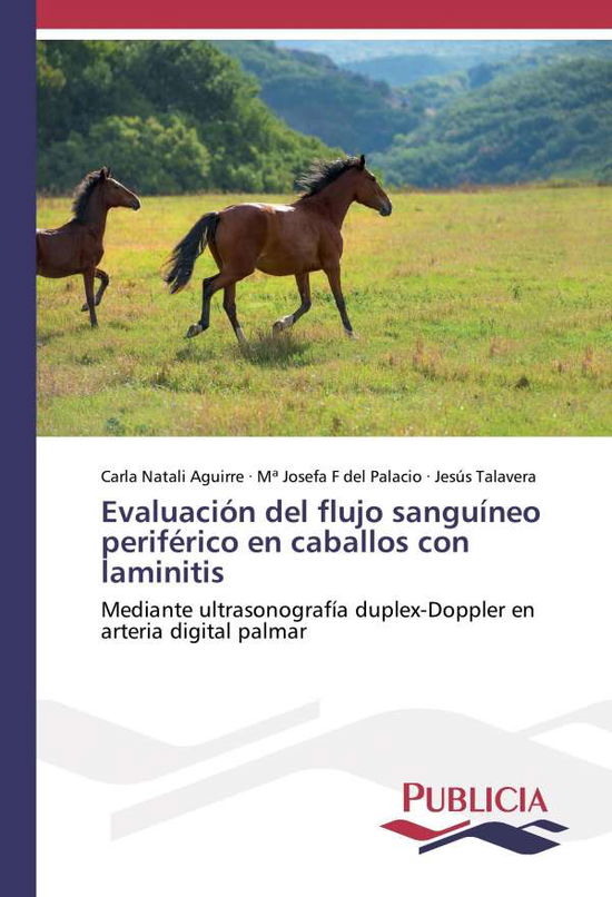 Cover for Aguirre · Evaluación del flujo sanguíneo (Bok)