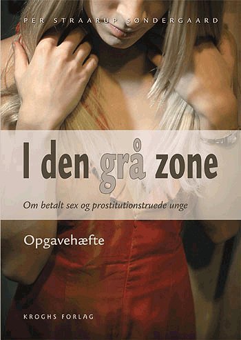 Cover for Per Straarup Søndergaard · I den grå zone (Sewn Spine Book) [1st edition] (2004)