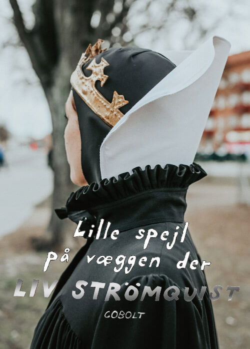 Cover for Liv Strömquist · Lille spejl på væggen der (Sewn Spine Book) [1º edição] (2023)