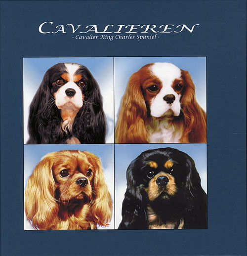 Cover for Erik Fritzbøger · Cavalieren (Indbundet Bog) [3. udgave] [Indbundet] (2010)