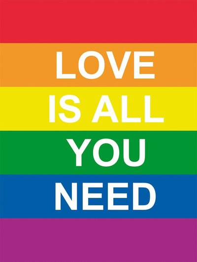 Love is all you need - Annika Meijer - Books - Tukan förlag - 9789177835417 - December 20, 2018