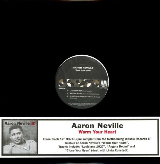 Cover for Aaron Neville · Warm Your Heart (LP) [High quality vinyl edition] (2004)