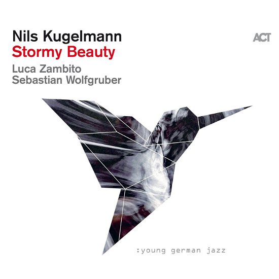 Cover for Nils Kugelmann · Stormy Beauty (LP) (2023)