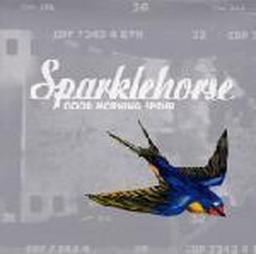 Cover for Sparklehorse · Good Morning Spider (LP) [180 gram edition] (2014)