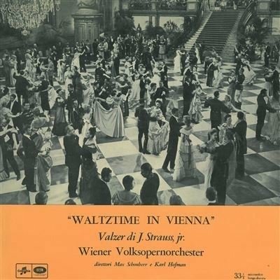Cover for Johann Strauss  · Waltztime In Vienna (VINYL)