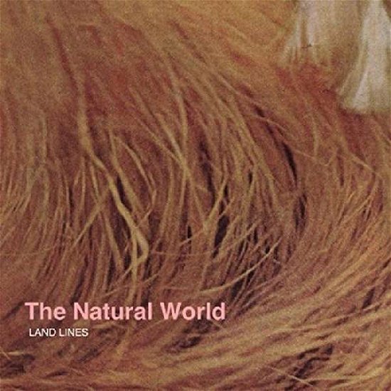 Cover for Land Lines · Natural World (CD) (2015)