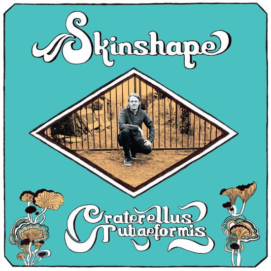 Skinshape · Craterellus Tubaeformis (LP) (2023)