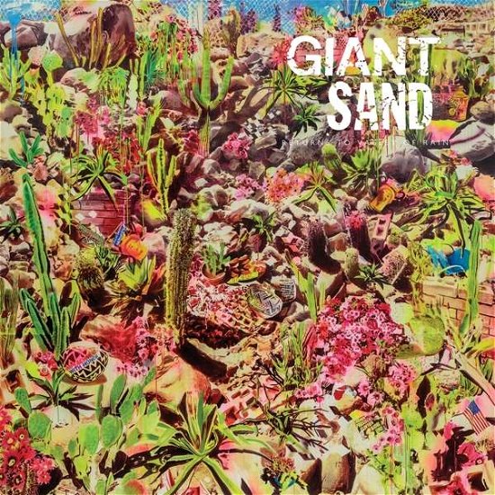 Cover for Giant Sand · Returns to the Valley of Rain (LP) (2018)