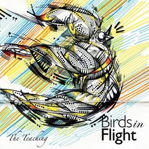 Cover for Teaching · Birds in Flight (CD) (2014)