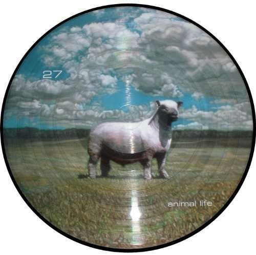 Cover for 27 · Animal Life (LP) (2011)
