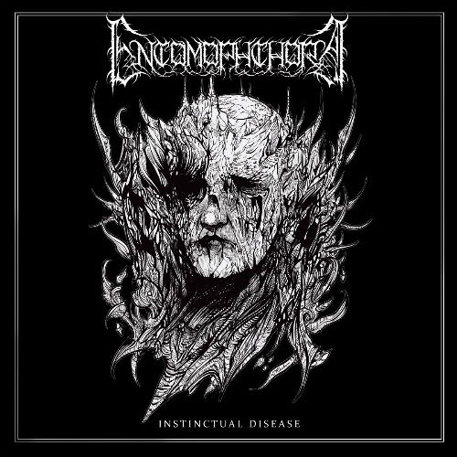 Entomophthora · Instinctual Disease (CD) (2024)