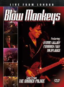 Live From London - Blow Monkeys - Film - THE STORE FOR MUSIC - 5055544201418 - 2 augusti 2019