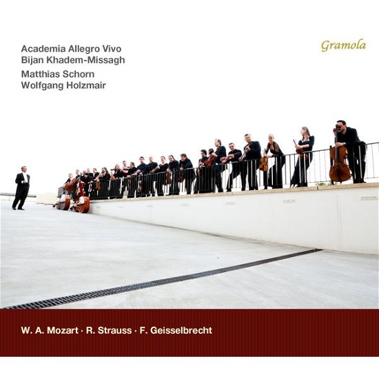 Cover for Mozart / Strauss · Orchl Works (CD) (2014)
