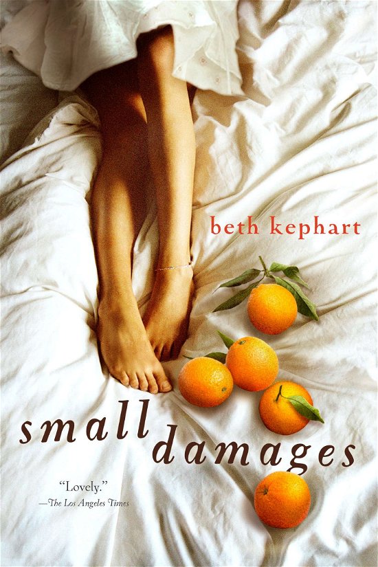 Cover for Beth Kephart · Small Damages (Paperback Book) (2013)