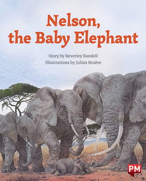 Cover for Beverley Randell · Nelson the Baby Elephant (Paperback Book)