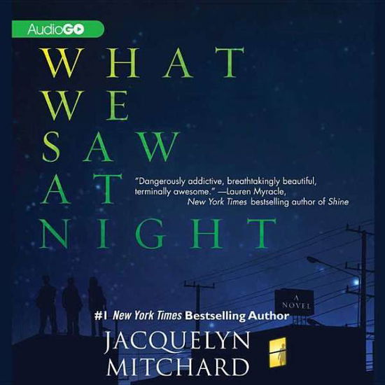 Cover for Jacquelyn Mitchard · What We Saw at Night (Hörbok (CD)) (2013)