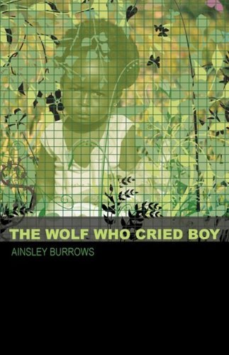 Cover for Ainsley Burrows · The Wolf Who Cried Boy (Paperback Book) (2008)