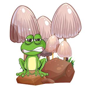 Cover for Cresswell · Frankie the Frog, Frankie Never Gives Up (Book) (2022)