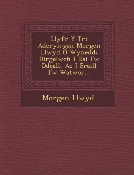 Cover for Morgen Llwyd · Llyfr Y Tri Aderyn: Gan Morgen Llwyd O Wynedd: Dirgelwch I Rai I'w Ddeall, Ac I Eraill I'w Watwor... (Paperback Book) [Welsh edition] (2012)