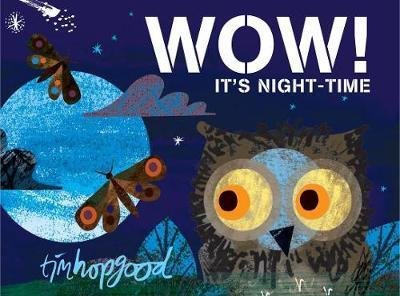 Cover for Tim Hopgood · WOW! It's Night-time (Paperback Book) (2018)