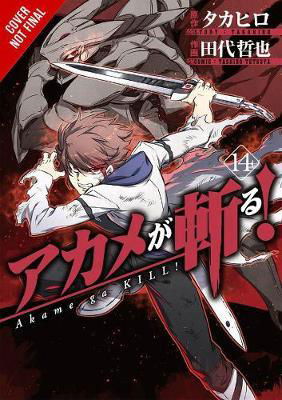 Cover for Takahiro · Akame ga Kill!, Vol. 14 - AKAME GA KILL GN (Paperback Book) (2018)