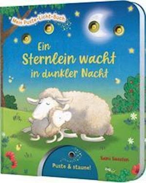 Cover for Sylvia Tress · Mein Puste-Licht-Buch: Ein Sternlein wacht in dunkler Nacht (Board book) (2022)