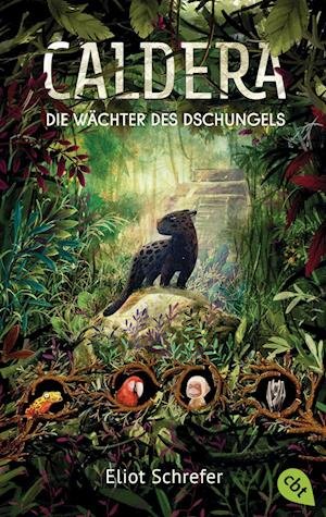 Cover for Eliot Schrefer · Caldera  Die Wächter des Dschungels (Buch) (2022)