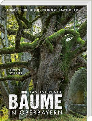 Cover for Jürgen Schuller · Faszinierende Bäume in Oberbayern (Book) (2023)