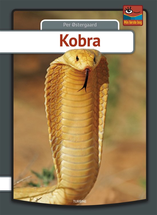 Min første bog: Kobra - Per Østergaard - Bücher - Turbine - 9788740657418 - 25. September 2019